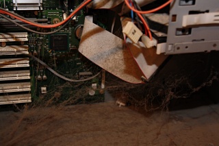 Innenansicht PC - Staub und Spinnweben